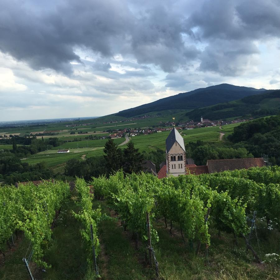 Gite Fleur De Vignes Itterswiller Bagian luar foto