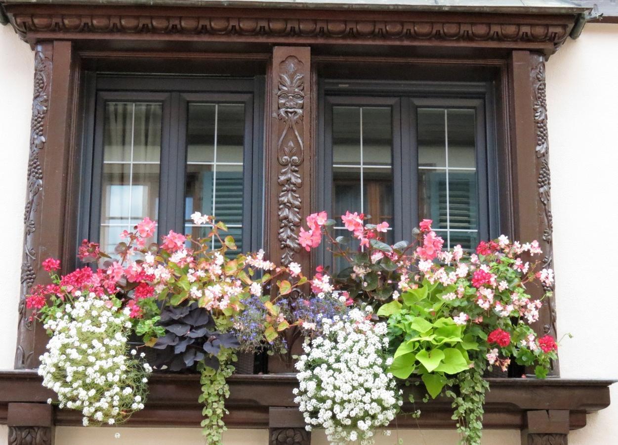 Gite Fleur De Vignes Itterswiller Bagian luar foto